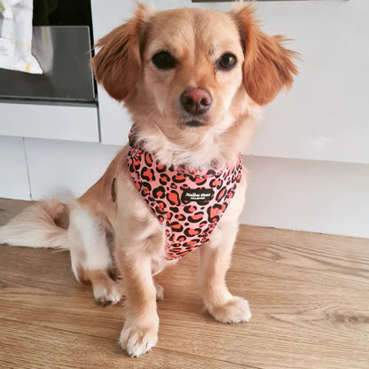 Pink leopard Adjustable puppy dog Harness