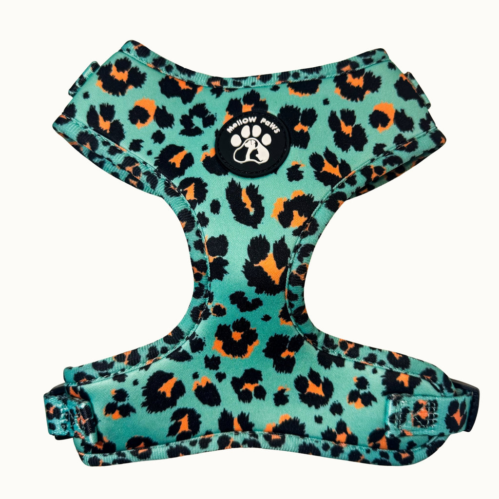 Aqua Leopard Dog Harness