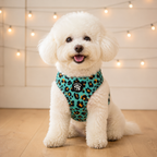 Aqua Leopard Dog Harness