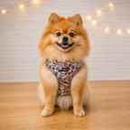 Honey Dog Harness