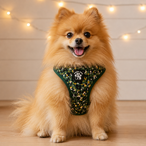 Dark Green Leopard Dog Harness