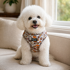 Honey Dog Harness