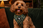 Dark Green Leopard Dog Harness