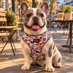 Honey Dog Harness