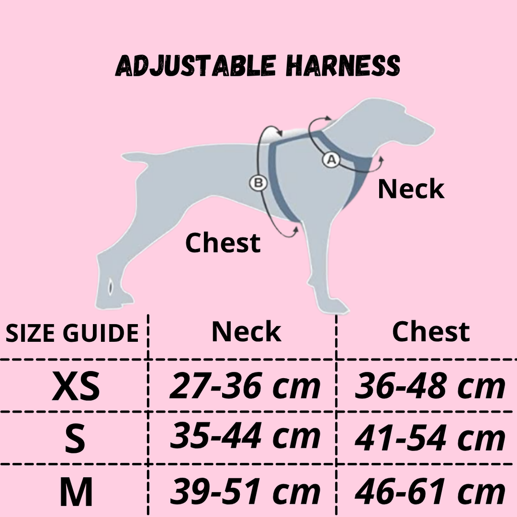 Cupcake Dog Harness