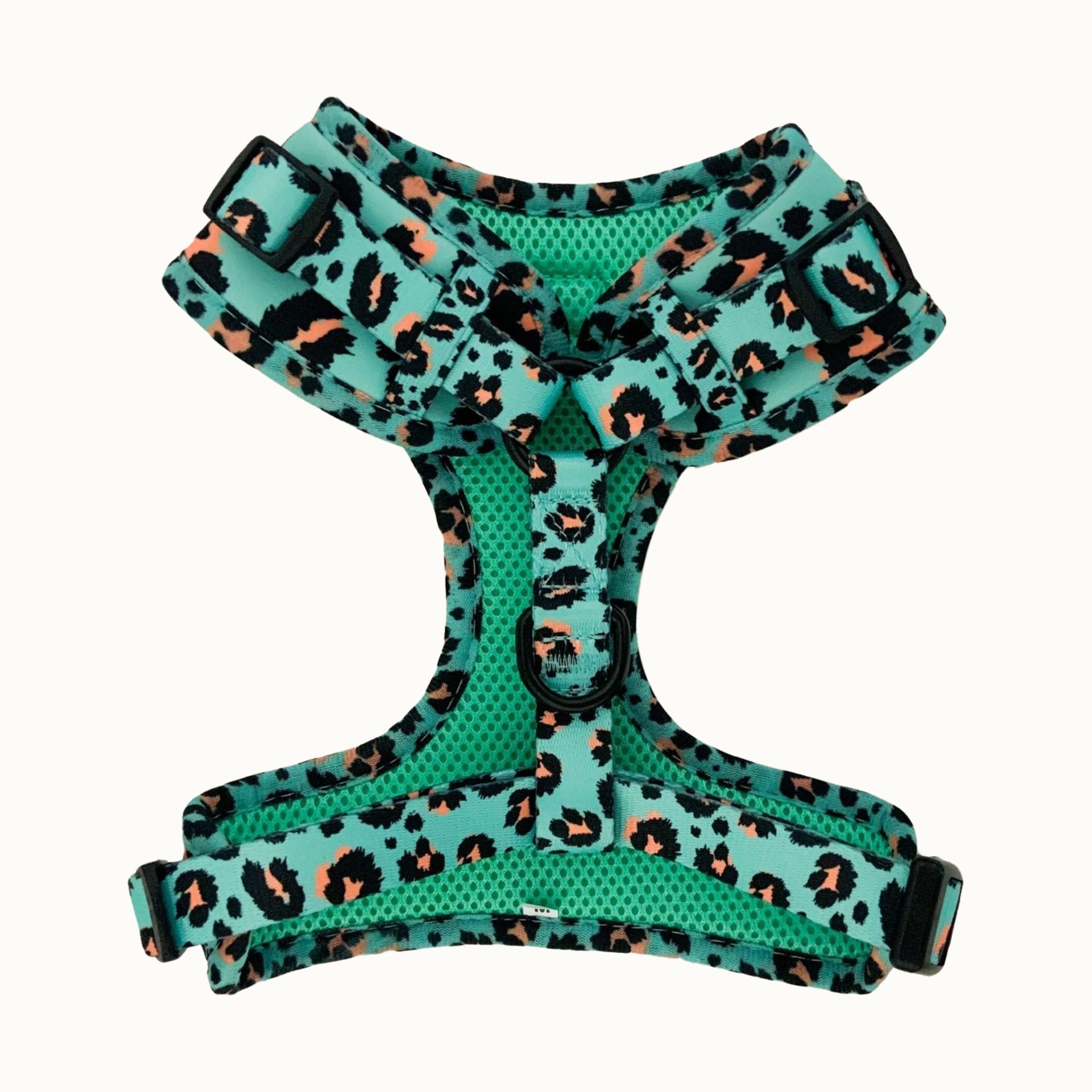 Aqua Leopard Dog Harness