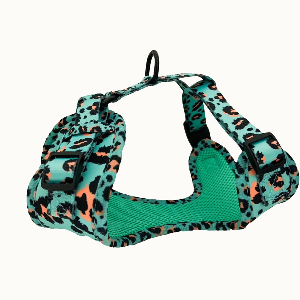 Aqua Leopard Dog Harness