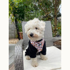 Honey Dog Harness