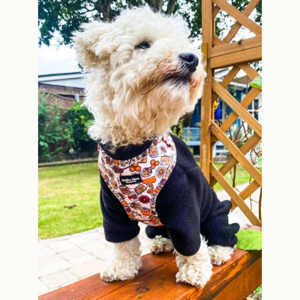 Honey Dog Harness