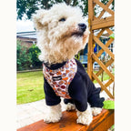 Honey Dog Harness